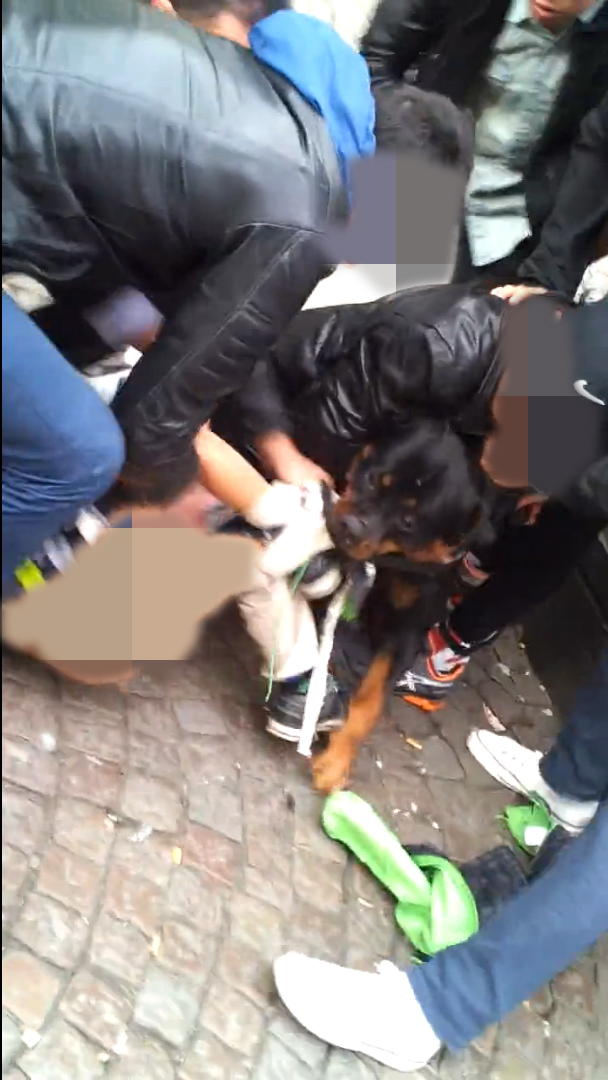 Mentalt test, Polisen, Hundattack, Goteborg, Hund